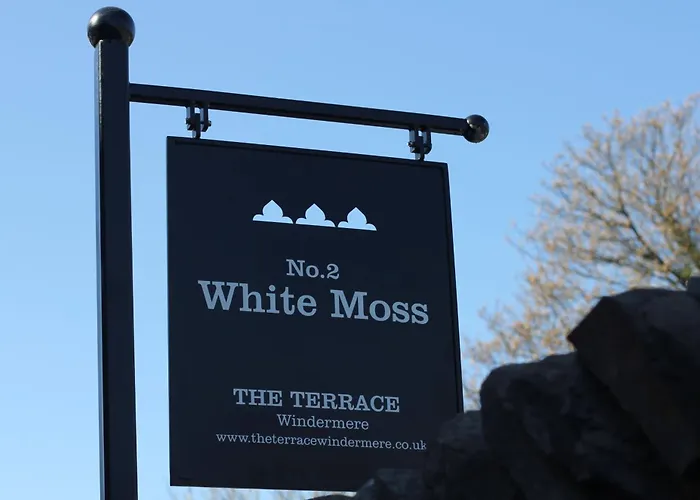 White Moss